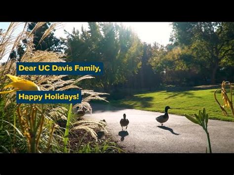 California’scollege town. . Ucdavis holidays